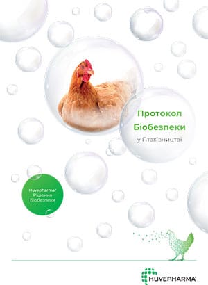 Протокол Біобезпеки у Птахівництві