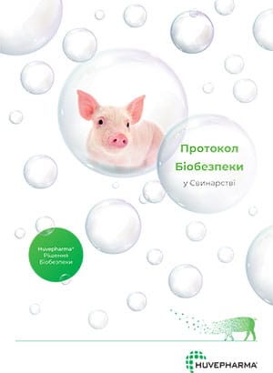Протокол Біобезпеки у Свинарстві
