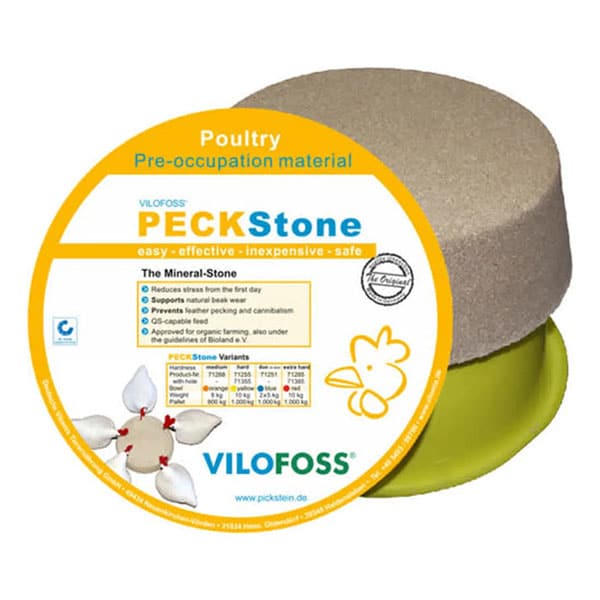 Камінь для клювання Peckstone